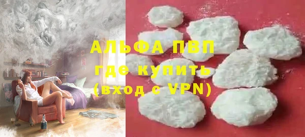 таблы Гусев