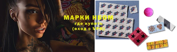 таблы Гусев