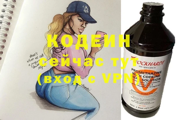 таблы Гусев