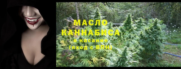 стаф Гусь-Хрустальный