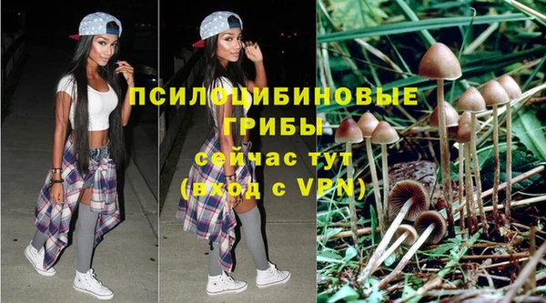 таблы Гусев