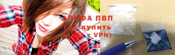 таблы Гусев