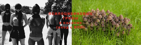 метадон Валдай