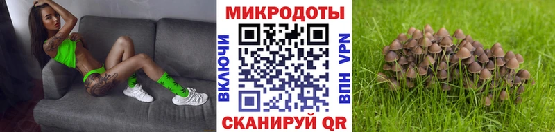 Псилоцибиновые грибы Magic Shrooms  где продают наркотики  Дятьково 
